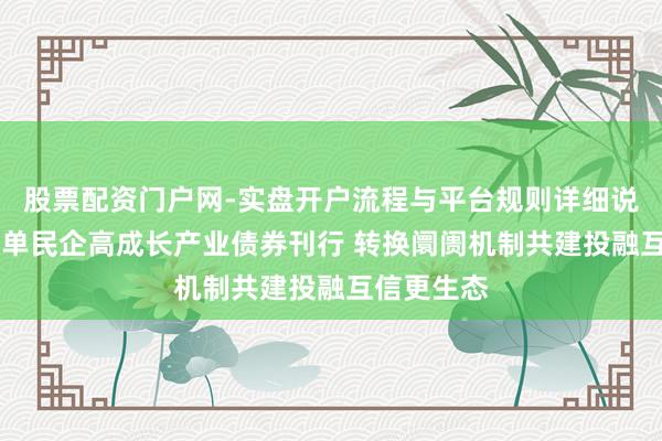 股票配资门户网-实盘开户流程与平台规则详细说明 寰宇首单民企高成长产业债券刊行 转换阛阓机制共建投融互信更生态