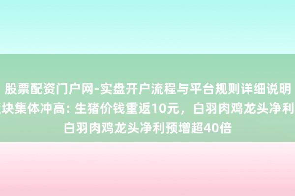 股票配资门户网-实盘开户流程与平台规则详细说明 畜牧衍生板块集体冲高: 生猪价钱重返10元，白羽肉鸡龙头净利预增超40倍